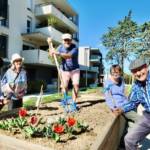 Lire la suite à propos de l’article Atelier jardinage au sein de notre résidence Intergénérationnelle « Jardin d’Hestia » sur Narbonne (11).